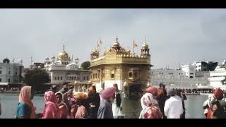 Amritsar Golden temple Amritsar ਅੰਮ੍ਰਿਤਸਰ ਗੋਲਡਨ ਟੈਂਪਲ ਅੰਮ੍ਰਿਤਸਰ Khalsa0778 #amritsar #new #news