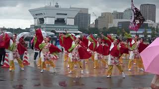 横浜よさこい2017 ～ 相模RANBU○