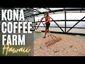 We toured the best Kona Coffee Farm on Big Island Hawaii and this is what we learned