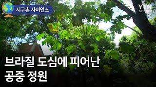 [지구촌 사이언스] 브라질 도심에 피어난 공중 정원 / YTN 사이언스