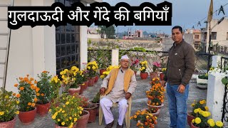 Chrysanthemum and Marigold Gardening || Guldaudi aur Gende ki Bagvani