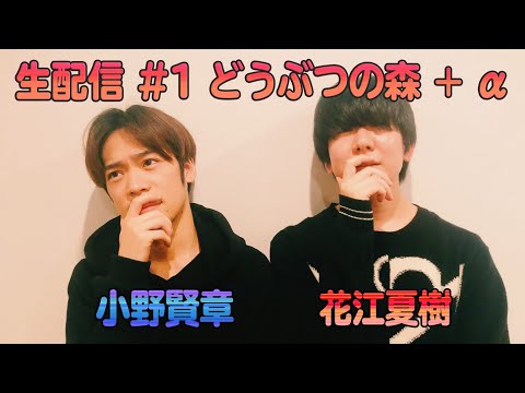 生配信 1 花江夏樹の大罪 あつまれ どうぶつの森 生配信 1 花江夏樹の大罪 あつまれ どうぶつの森