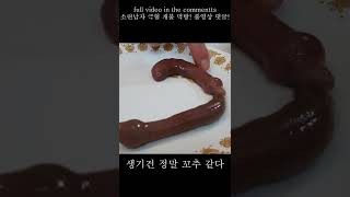 러시아 남자 개불 먹방