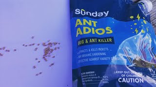 Sunday Lawn Care Ant Adios Unboxing and Review | Organic Ant Killer | Influenster Voxbox