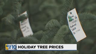 Shorter supply, bigger variety, some crispy leaves: What to expect when Christmas tree shopping