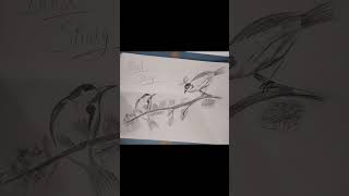 Bird sketch #drawing #trending #art