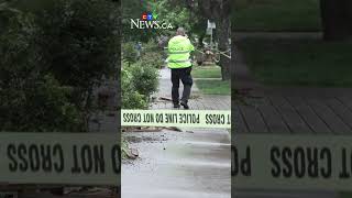 Driver tears through Vancouver neighbourhood, injuring 3