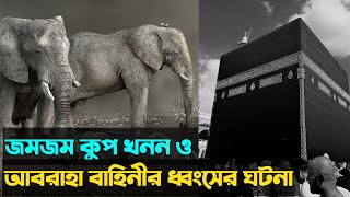 কাবা ঘর ধ্বংসের পরিকল্পনাকারীদের পরিণতির | Abraha attack on Kaaba | Islamic story in bangla