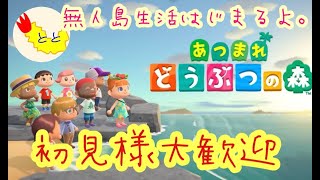 【あつまれ どうぶつの森】久しぶりのまったり雑談配信【初見様大歓迎】