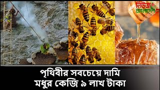 পৃথিবীর সবচেয়ে দামি মধুর কেজি ৯ লাখ টাকা...