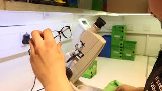 Meet Holly our optical apprentice | Specsavers