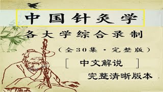 中国针灸学：各大学综合录制 中文解说（全30集·完整清晰版）04集 腧穴二POINTS II