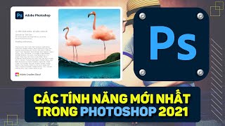 Các tính năng mới Photoshop 2021 CHẤT LƯỢNG được hỗ trợ bởi công nghệ AI của Adobe Sensei |Mr.Đại