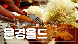 (4K/Eng) 인사동 돈까스🐷 먹구, 담쟁이 커피 호로록☕ 종로직장인 점심투어 브이로그 #문경올드 #담쟁이집 #mungyung #tonkatsu #ivyhouse #coffee