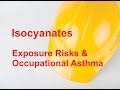 Isocyanates: Exposure Risks & Occupational Asthma