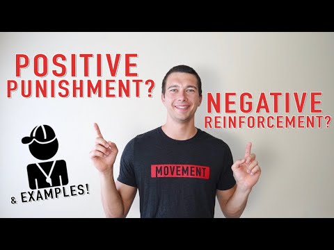 Which best describes the difference between positive and negative reinforcement?