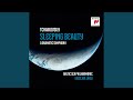 The Sleeping Beauty, Op. 66: Act II: Panorama