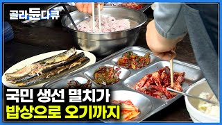 금강산도 식후경, 고된 노동도 이 맛에 이겨낸다｜이렇게 힘들게 잡히는 줄 몰랐다. 멸치가 우리 밥상에 올라오기까지｜멸치잡이｜한국기행｜#골라듄다큐