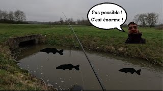 PÊCHE EN RIVIÈRE: UNE PRISE SURPRENANTE dans un TROU D’EAU ! 🕳️