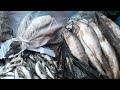 КУТУМ 🐟 Так ли на самом деле хорош и стоит ли его покупать