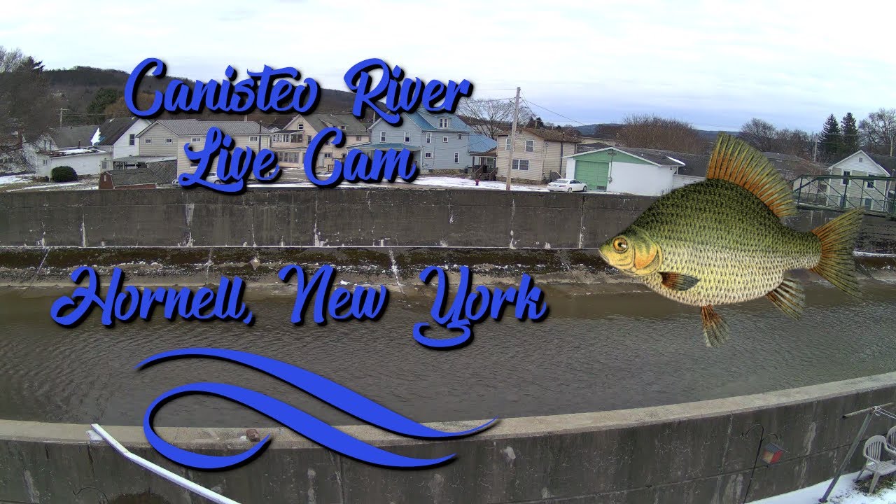 Canisteo River Live Cam 24 7 Hornell New York 3 13 2025 Youtube