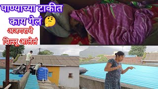 टायगरला भरली थंडी / एवढी घाई कशाला || dailyvlog lifevideo.