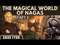 The Magical World Ff Nagas - Part 3 & How They Intersected With The Pandavas