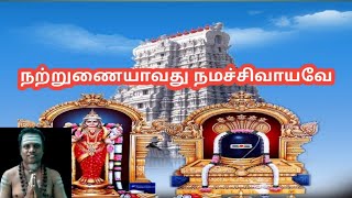 திருநாவுக்கரசர் பெருமான் / நான்காம் திருமுறை / சொற்றுணை வேதியன்