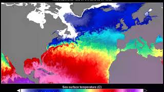Gulf Stream 1-year animation /FA