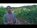 JAMESSUCKLING.COM - Tuscany - Petrolo - The Boggina Vineyard