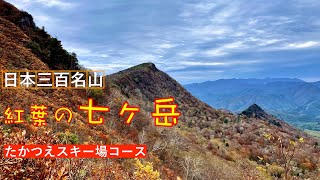 【日本三百名山】4K 七ヶ岳　たかつえスキー場コース　#登山 #紅葉 #福島県