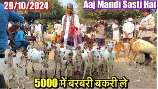 Taharpur Bakra Mandi Moradabad UP live update with price 29/10/2024