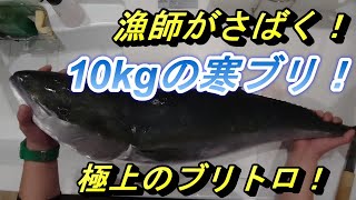 自宅でもできるブリの刺身！漁師が寒ブリを１から捌く！絶品ブリトロ！