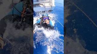 Don T Make This Key Rookie Dive Mistake