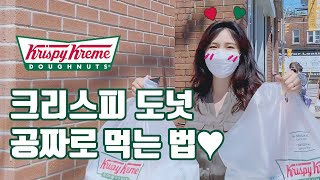 크리스피 크림 도넛 공짜로 먹기 | 토론토 브이로그 🇨🇦  | How to get free Krispy Kreme donuts?!