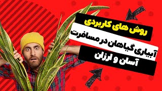 آبیاری گیاهان در مسافرت، چطور گیاهامون رو موقع سفر آبیاری کنیم؟