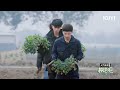 鹭卓询问如何知道羊生病 赵一博说它看起来很不开心 种地吧 ep23未播 become a farmer iqiyi综艺