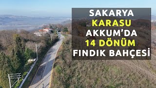 Sakarya Karasu Akkum'da Satılık Fındıklık Bahçesi 14 dönüm