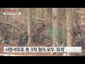 사문서 위조 윤석열 장모 1심 징역 1년...구속은 피해 ytn