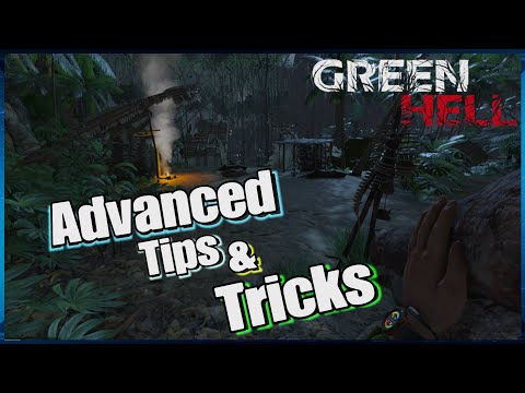 Tips and tricks for advanced players on “Green Hell”