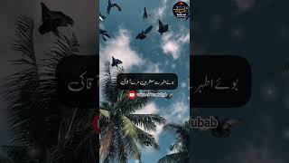 islamic poetry ||voice of umelubab ||#reels #viralvideo #shortvideo #islamiccontent #toptrending