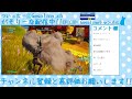 🟥【フォートナイト fortnite】アリーナ参加型