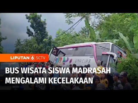 Bus Wisata Pembawa Siswa Mengalami Kecelakaan Di Jalan Raya Bromo ...