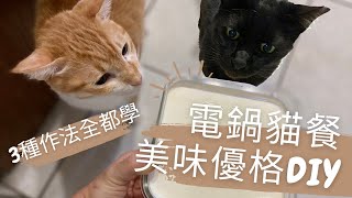 貓餐加優格，比較優格粉、養樂多及優格搭配電鍋製成優格Homemade yogurt for cats【毛掌村爽爽過】