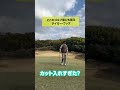 【ゴルフあるある】どこのゴルフ場にも居るタイガー・ウッズ shorts