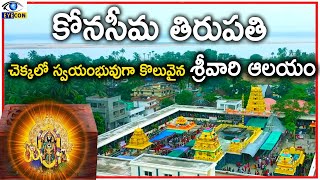 చెక్కలో స్వయంభువుగా కొలువైన శ్రీవారి ఆలయం |Vadapalli Sri Venkateswara Swamy Temple,A.P |Eyecon facts