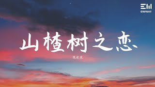 程佳佳 - 山楂树之恋♫動態歌詞lyrics♫