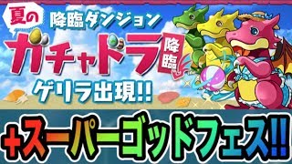 【パズドラ】夏のガチャドラ降臨スタート！最後にスーパーゴッドフェス！【新しげパズ#170】