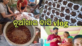 ନୂଆଁଖାଇ ବାସି vlog full enjoy//Deesasambalpurivlog