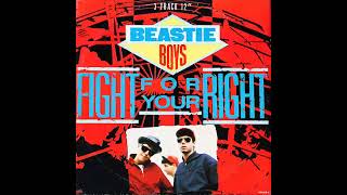 Beastie Boys - fight for your right guitar cover